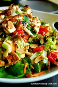 My Kitchen Escapades: Thai Chicken Salad with Spicy Peanut Sauce YUMMY!!!