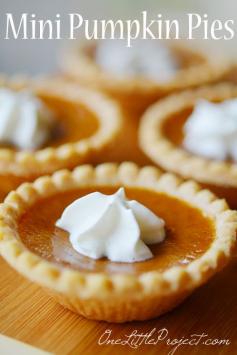 
                    
                        Mini Pumpkin Pies Recipe! These are so easy and you might actually have room to try more than one dessert! Such a great idea!
                    
                