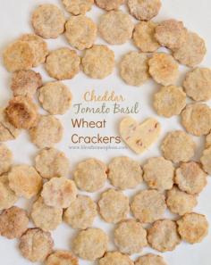 
                    
                        Homemade Tomato Basil Cheese Crackers easier than you'd think!
                    
                