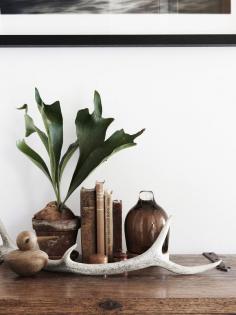 
                    
                        The Scandinavian inspired Sydney home of Frag and Naomi Woodall. Photo – Eve Wilson. Production – Lucy Feagins / The Design Files.
                    
                