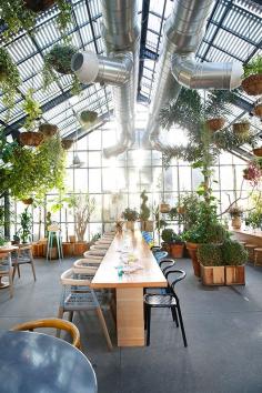 
                    
                        Commissary restaurant and cocktail bar in Los Angeles / photo by Leslie Santarina
                    
                