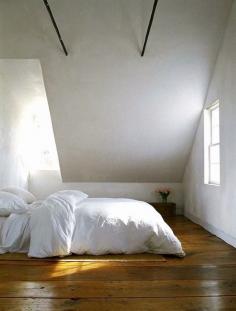 
                    
                        B L O O D A N D C H A M P A G N E
                    
                