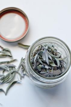 Herb Gardening - DIY: Drying Herbs