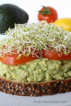 
                    
                        Chickpea Avocado Mash with Lemon
                    
                