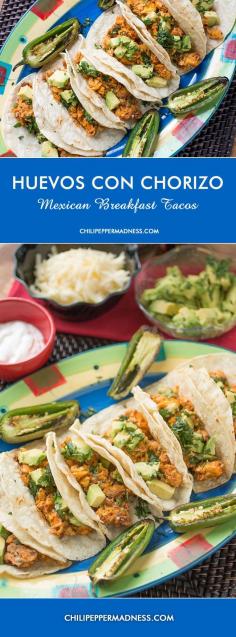 
                    
                        Huevos con Chorizo - Mexican Breakfast Tacos including spicy chorizo, eggs, avocado, sharp white cheddar, crema and roasted jalapenos | ChiliPepperMadnes...
                    
                