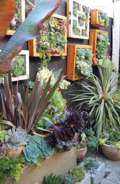 DIY vertical garden ideas for small spaces