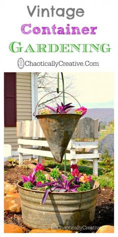 
                    
                        Vintage Container Gardening Collage
                    
                