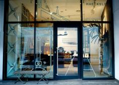 
                    
                        Haeckels in London
                    
                