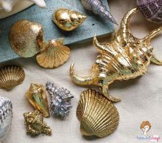 Spray Painted Sea Shells.