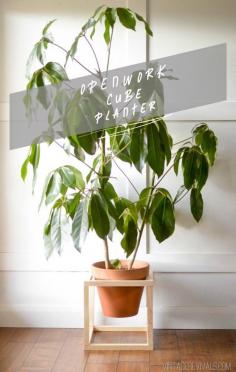 Modern Openwork Cube Planter DIY