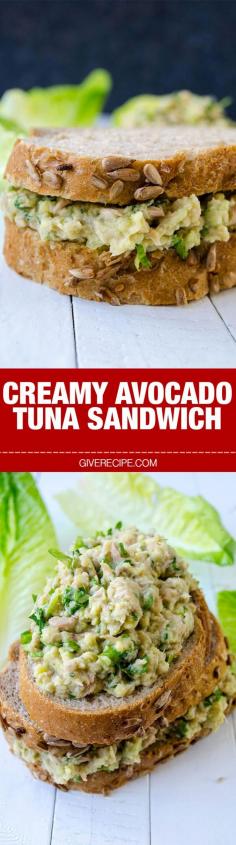 Creamy Avocado Tuna Sandwich with low calories. This is one of the healthiest, easiest and tastiest sandwiches ever! | giverecipe.com | #avocado #tuna #sandwich #avocadosandwich #tunasandwich #healthyrecipes
