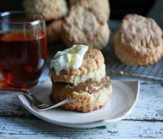 
                    
                        RHUBARB SHORTCAKE
                    
                