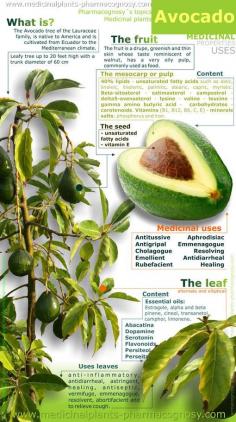 CANCER DIETS - Avocado Plant Health Benefits - Liver cleansing cancer diet raw food recipes for a healthy liver. Learn how to do the liver flush https://www.youtube.com/watch?v=UekZxf4rjqM I LIVER YOU
