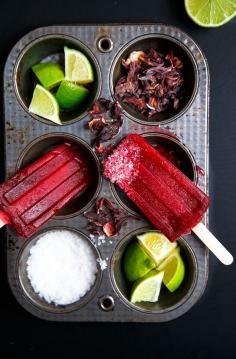 
                    
                        HIBISCUS MARGARITA POPSICLES
                    
                
