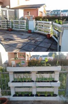 Pallet garden fence