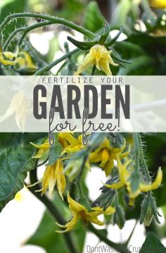 50 Ways to Fertilize the Garden For Free - from leftover food to common plants to animal parts, a great list of free & effective fertilizers for the garden using what you already have. Save money while growing your own food!! :: http://www.growsomethinggreen.com