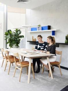 
                    
                        Sandringham Residence designed by Doherty Design Studio. Photo – Derek Swalwell.
                    
                