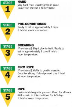 How to ripen an avocado - avocado ripeness guide - ripening avocados