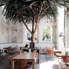 
                    
                        Hortus Botanicus | Amsterdam
                    
                