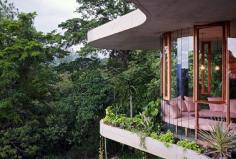 
                    
                        Planchonella House by Jesse Bennett // www.yellowtrace.c...
                    
                
