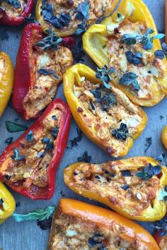 
                    
                        Pesto Goat Cheese Stuffed Mini Peppers | ReluctantEntertai...
                    
                