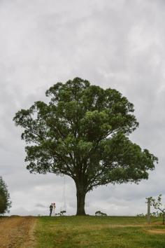 
                    
                        Wandin Valley Estate wedding. Hunter Valley wedding photographer. Image: Cavanagh Photography cavanaghphotograp...
                    
                