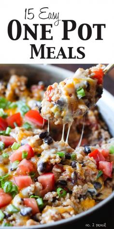 15 one pot rec