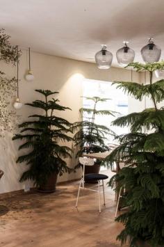 
                    
                        Italy Cofoco by Norm Architects
                    
                