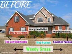 
                    
                        When is it time to hire a professional landscaper?
                    
                