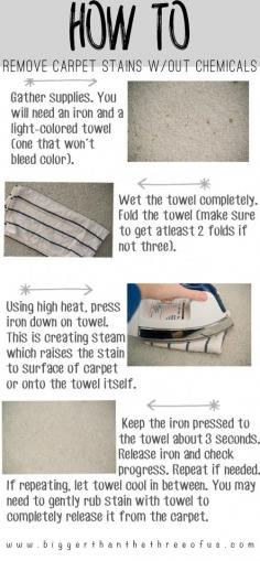 
                    
                        Spilled wine or coffee? I've done both and more! This tutorial will show you how to remove carpet stains without chemicals.
                    
                
