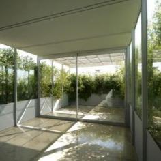 
                    
                        Foliage-clad pavilion by Adam-Faiden creates a home on a disused roof
                    
                