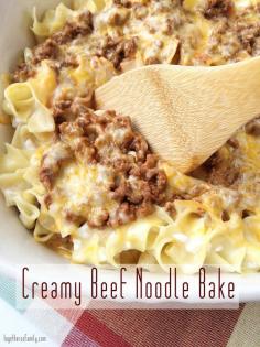 Creamy Beef Noodle Bake- , think I'll use ground turkey ClynnH www.togetherasfamily.com