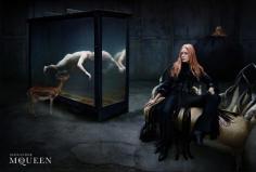 
                    
                        alexander mcqueen horse campaign - Google Search
                    
                