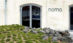 
                    
                        Noma is opening in Australia - Vogue Liivng
                    
                