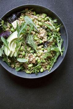 
                    
                        LEMON-SOY EDAMAME BARLEY BOWL
                    
                