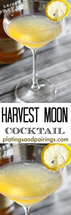 Applejack, Orgeat and Lemon - DELICIOUS! | #cocktails #mixology #bartender