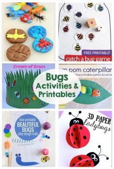 
                    
                        Bugs Activities and Printables - so many fun crafts to keep kids busy this summer!
                    
                