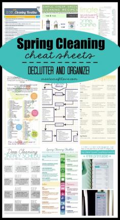 Decluttering and cleaning list