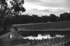 
                    
                        Wandin Valley Estate wedding. Hunter Valley wedding photographer. Image: Cavanagh Photography cavanaghphotograp...
                    
                