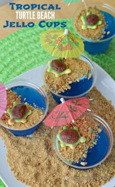 Blue Raspberry Jello Cups for Kids: Tropical Turtle Beach - Kenarry.com