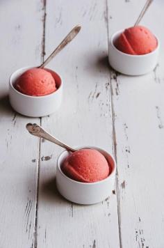 Hint of Vanilla: Rhubarb Sorbet