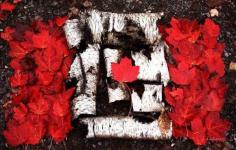 
                    
                        The Canada Flag by Cuervo2099 is Made Out of Wood and Leaves #canadaday trendhunter.com
                    
                