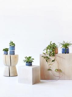 
                    
                        Plant pots from left to right. Styling – Nat Turnbull, Photo – Elise Wilken for The Design Files.
                    
                