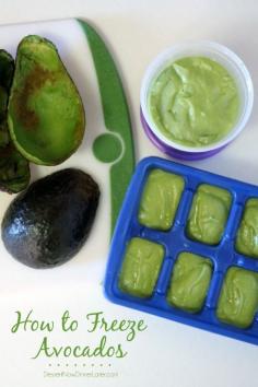 Freezing Avocado Purée