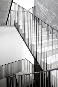 
                    
                        Casa do Conto,© FG+SG – Fernando Guerra, Sergio Guerra
                    
                