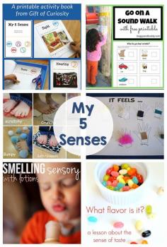 
                    
                        My 5 Senses - Activities and Printables - Touch, taste, smell, sight, sound... so many fun kids activities!
                    
                