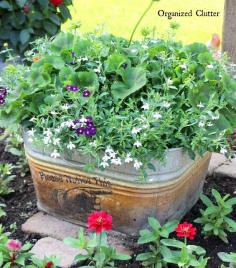 Garden Junk Mod Podge Image Transfer On Galvanized Metal via OrganizedClutter.net