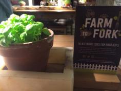 
                    
                        Table decoration  - Vapiano, Restaurants, Sydney, NSW, 2000 - TrueLocal
                    
                