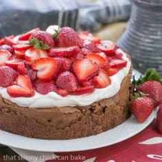 
                    
                        Chocolate Souffle Cake
                    
                