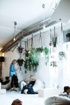 
                    
                        C • T coffee & coconuts, Amsterdam.
                    
                